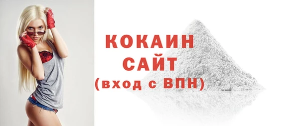 стаф Алзамай