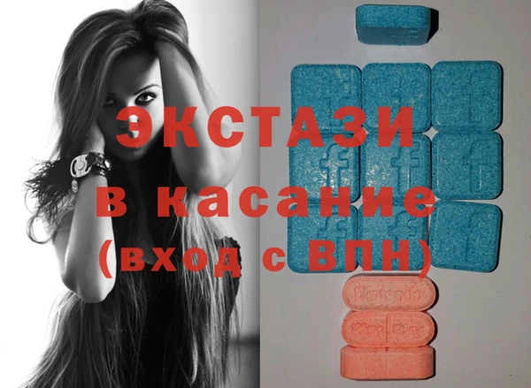 стаф Алзамай