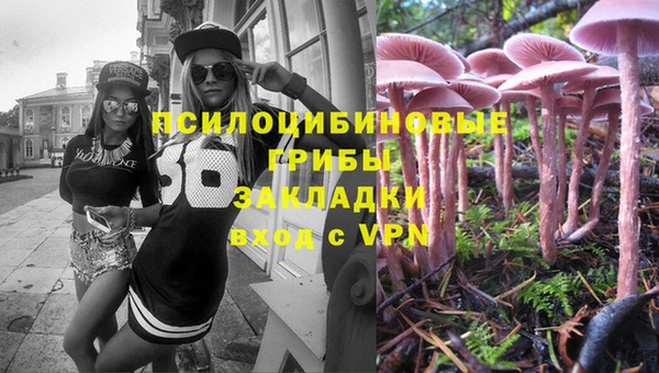 стаф Алзамай