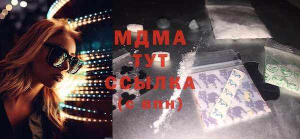 стаф Алзамай