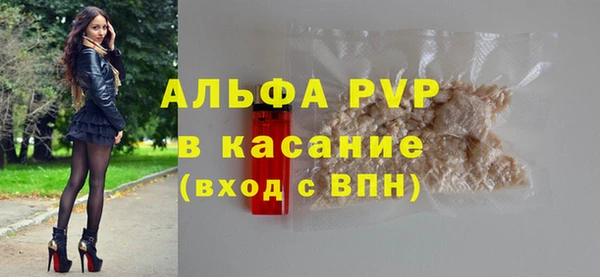 стаф Алзамай