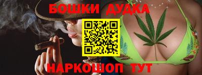 spice Майкоп
