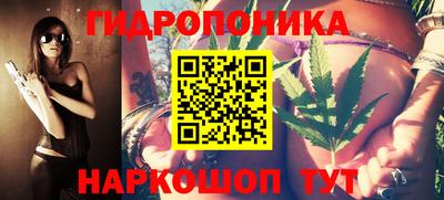 spice Майкоп