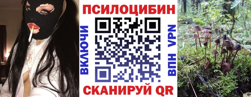 hydra ссылки  Саки  Галлюциногенные грибы Psilocybine cubensis  как найти наркотики 
