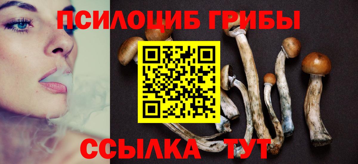 Саки  Псилоцибиновые грибы MAGIC MUSHROOMS  Вход с VPN 