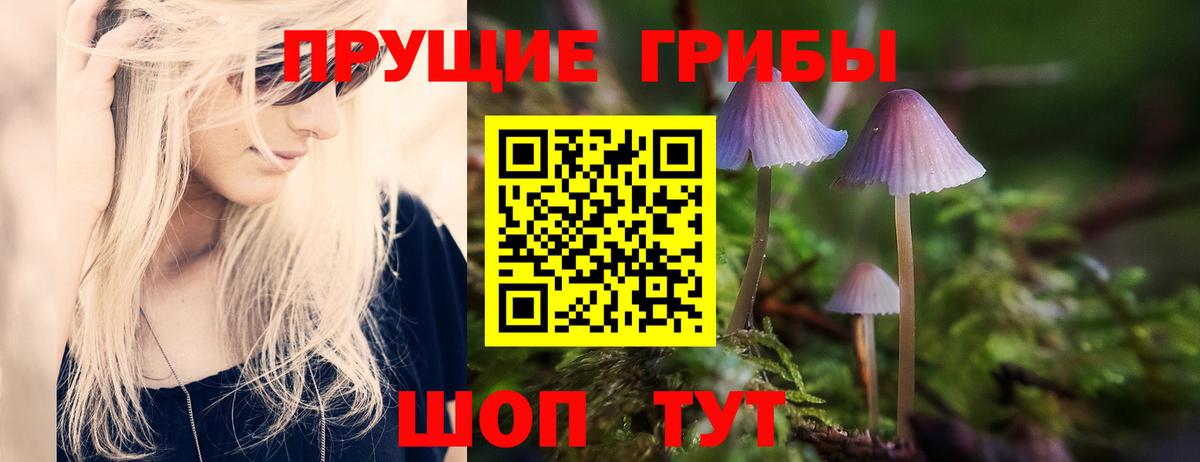 Галлюциногенные грибы Psilocybine cubensis Саки