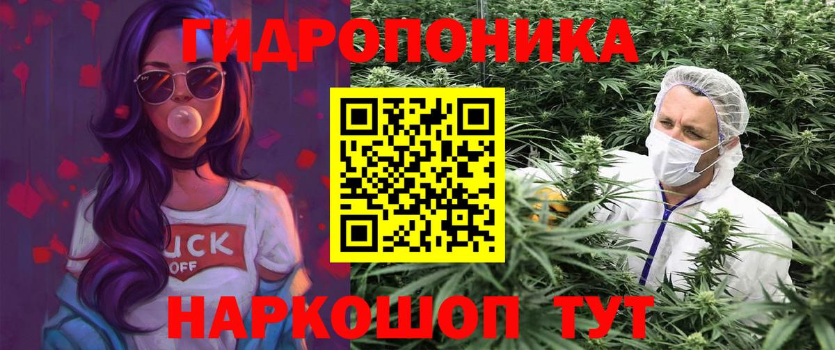 Канабис тримм  Конопля индика  Вход с VPN  Шишки марихуана планчик  Саки 